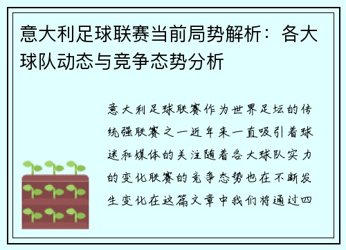 意大利足球联赛当前局势解析：各大球队动态与竞争态势分析