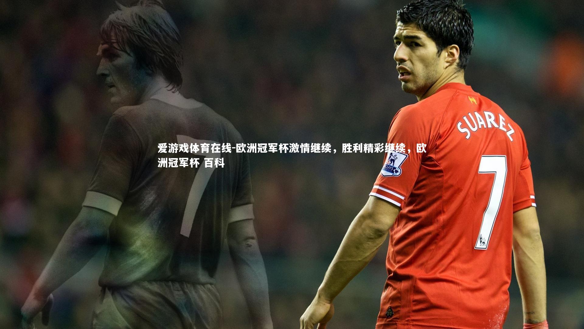 欧洲冠军杯激情继续，胜利精彩继续，欧洲冠军杯 百科