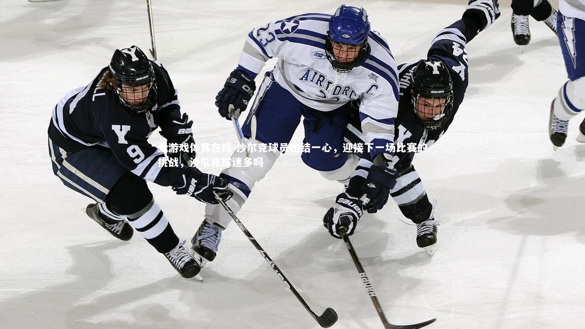 爱游戏体育在线-沙尔克球员团结一心，迎接下一场比赛的挑战，沙尔克球迷多吗