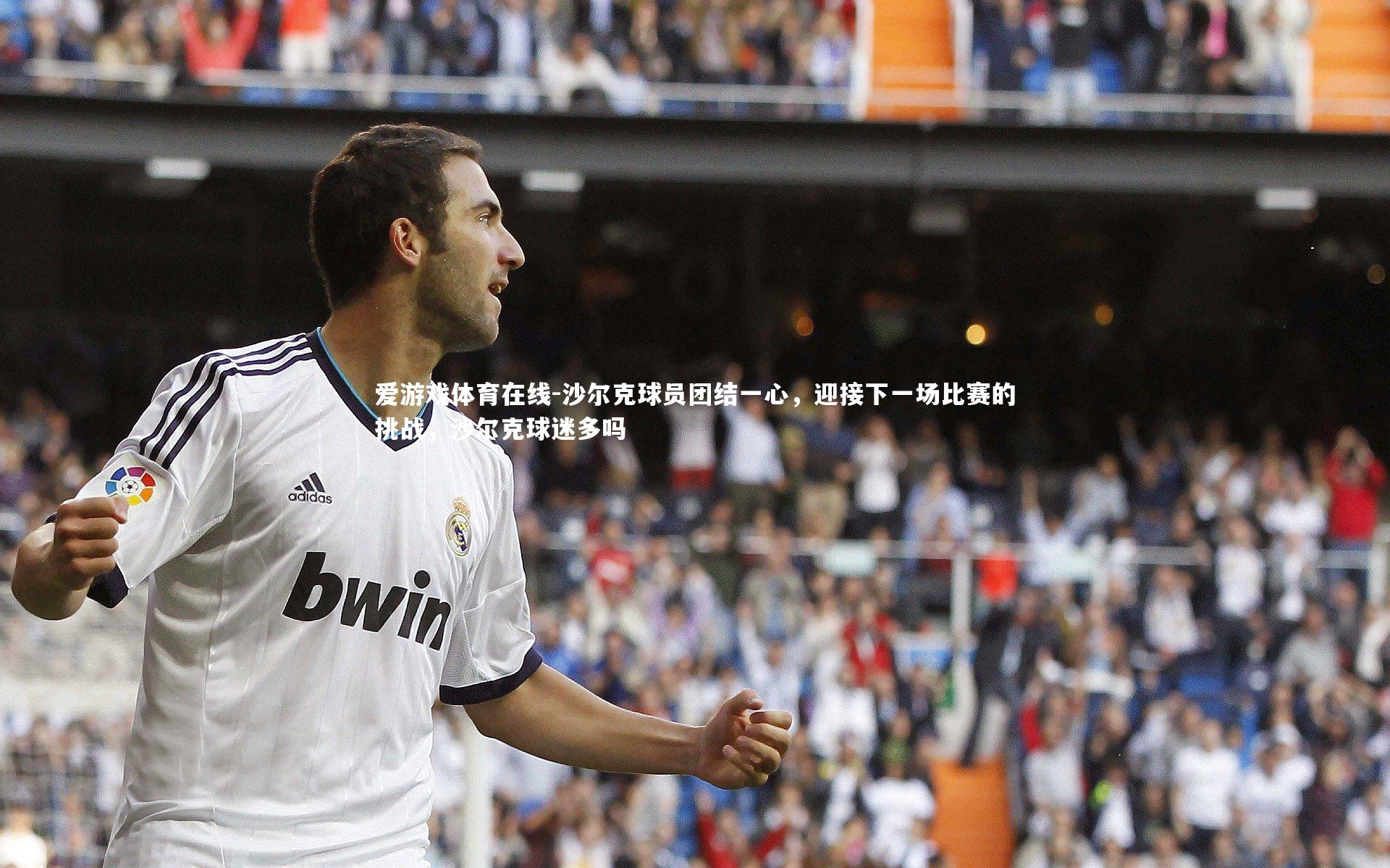 沙尔克球员团结一心，迎接下一场比赛的挑战，沙尔克球迷多吗