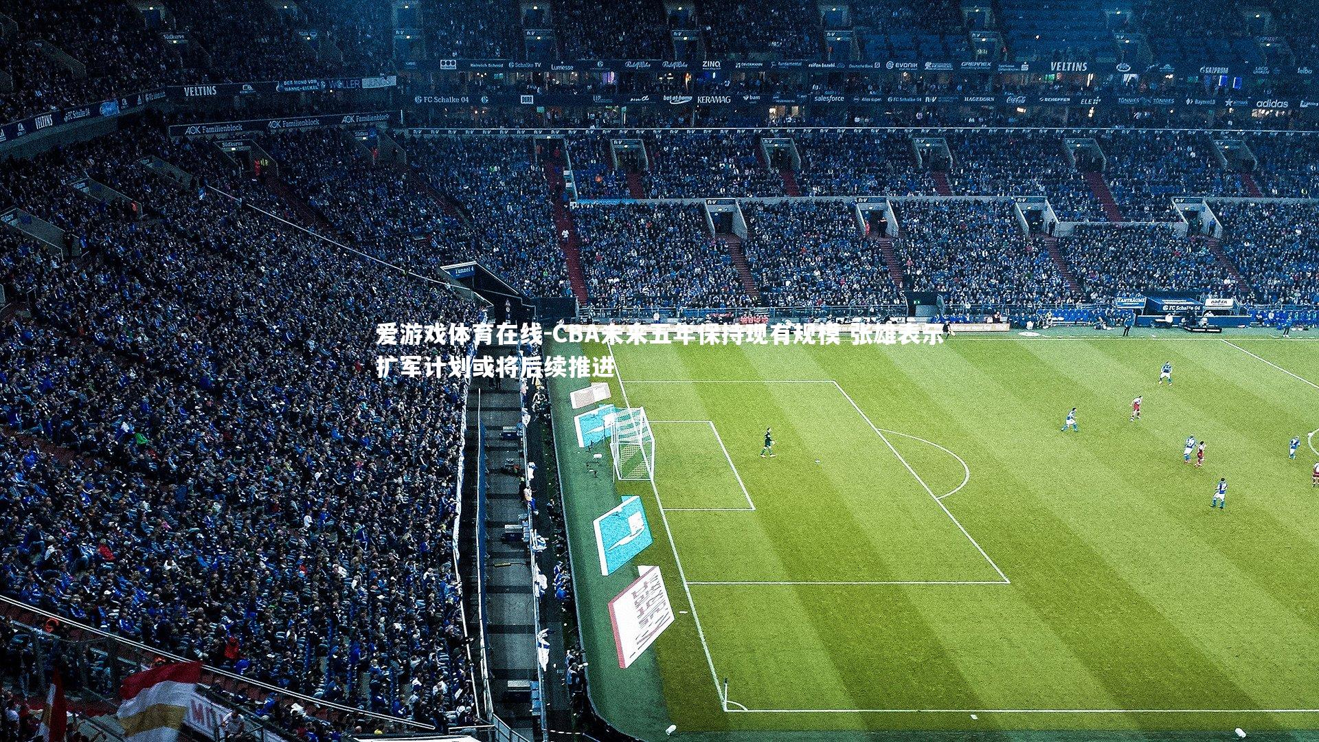 爱游戏体育在线-CBA未来五年保持现有规模 张雄表示扩军计划或将后续推进