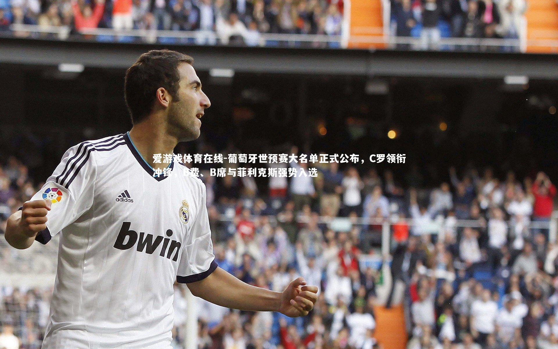 葡萄牙世预赛大名单正式公布，C罗领衔冲锋，B费、B席与菲利克斯强势入选